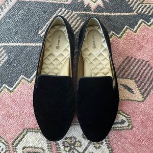 Birdies The Starling in Black Velvet